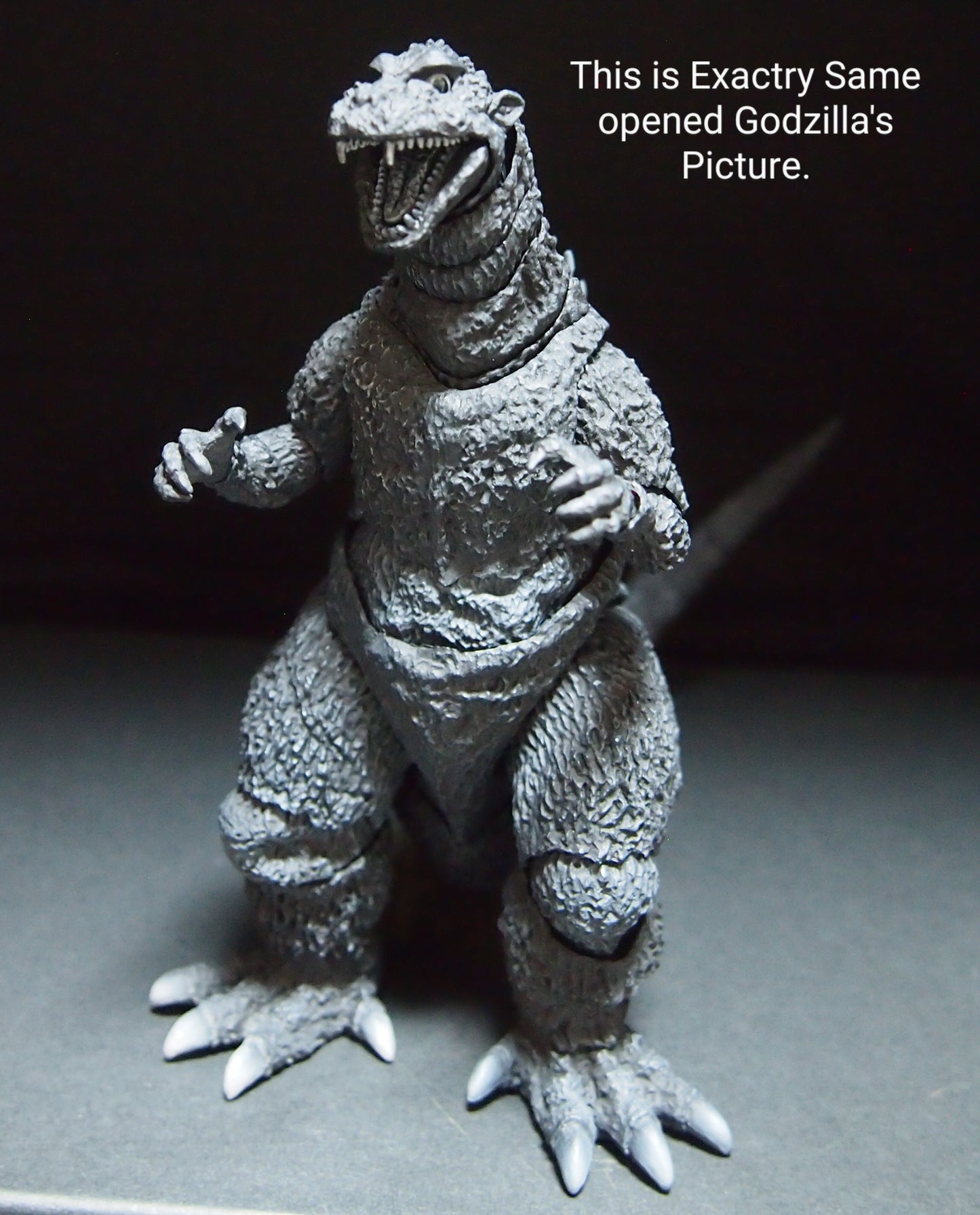 S.H.Monsterarts Godzilla (1954) Action Figure w.Box.Unopened!Brand New. God-067